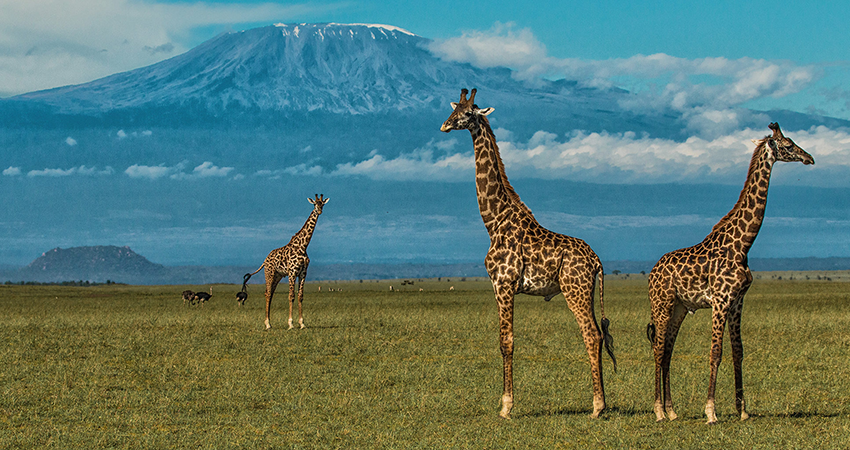amboseli-national-park-1