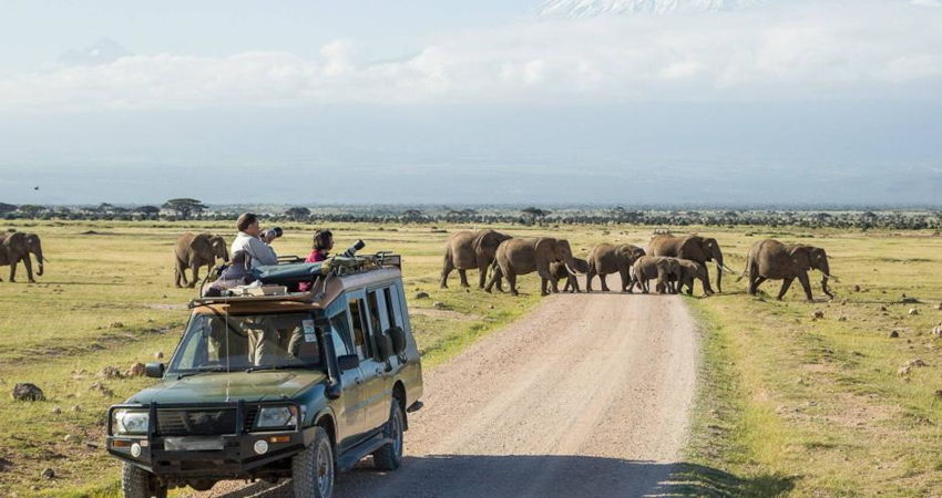 3 Days Amboseli Safari